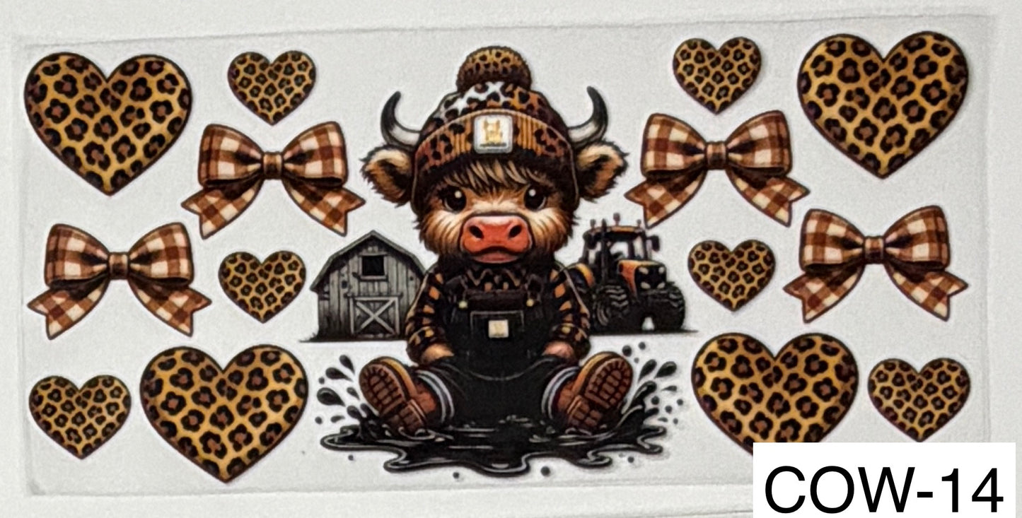 Cows
