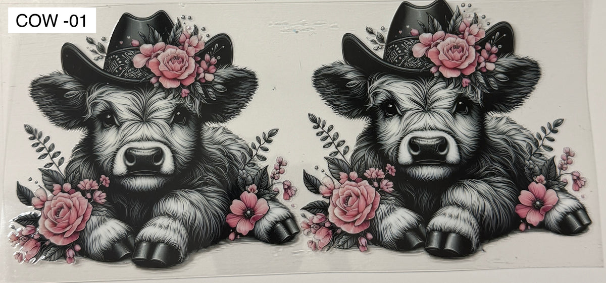 Cows