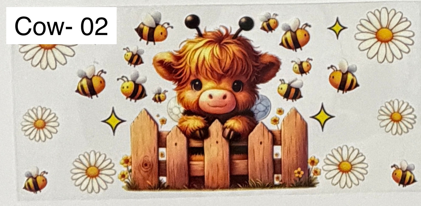 Cows