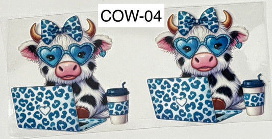 Cows